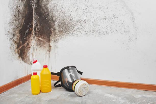 Best Crawl Space Mold Removal  in Westminster, LA