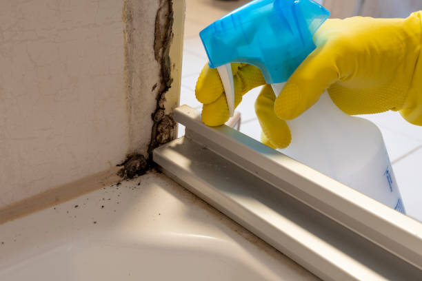 Best Commercial Mold Removal  in Westminster, LA